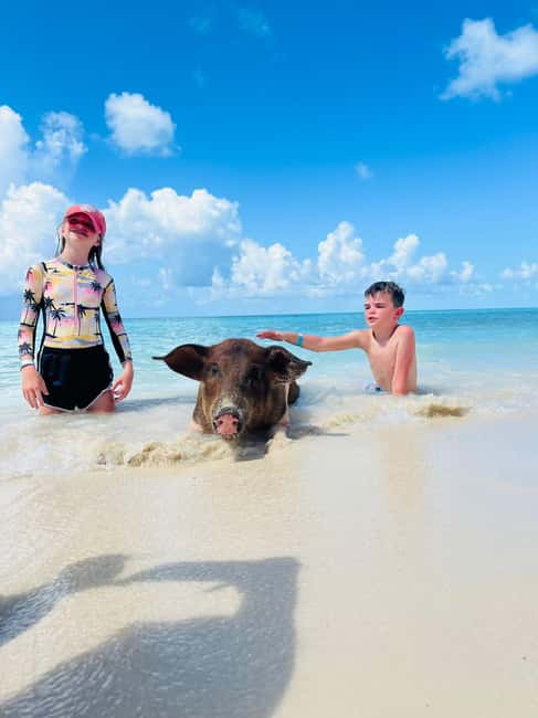 Nassau: Half-Day Swimming Pigs, Reef Snorkel & Beach Club - A Fast 15-Minute Ride to Athol Island