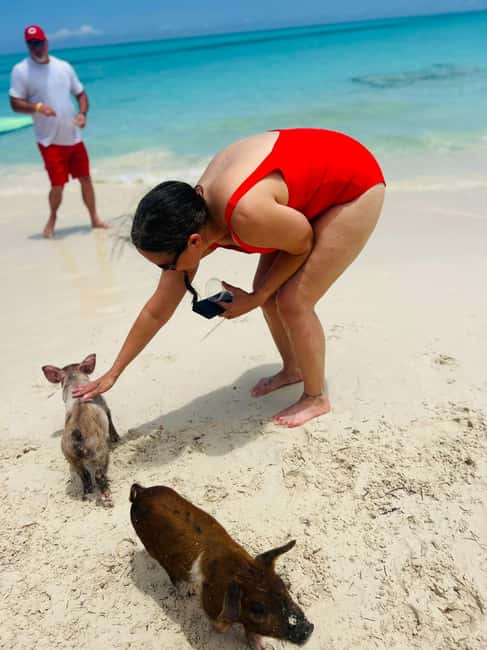 Nassau: Half-Day Swimming Pigs, Reef Snorkel & Beach Club - Athol Island’s One-Hour Coral Reef Stop