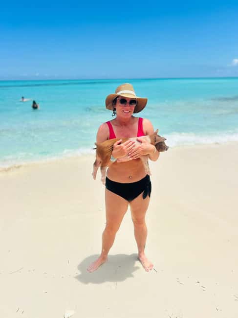 Nassau: Half-Day Swimming Pigs, Reef Snorkel & Beach Club - Rose Island Gives You the Main Two and a Half Hours