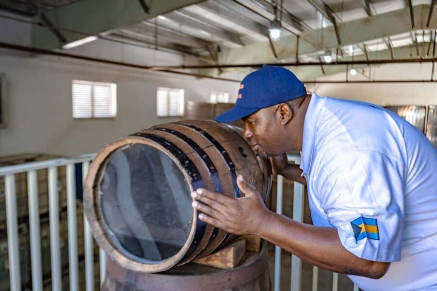 Nassau: Island Highlights Tour with Rum Tasting - Rum cake, chocolate, and a lighter side of local food