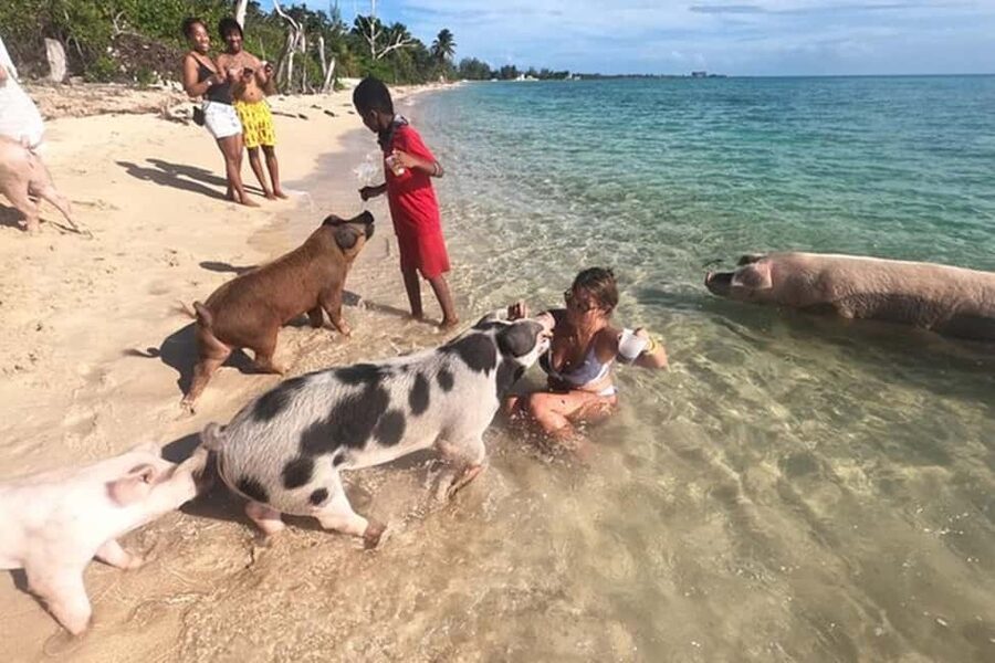 Nassau: Island Hopping Boat Trip with Lunch & Drinks - Key points to know before booking