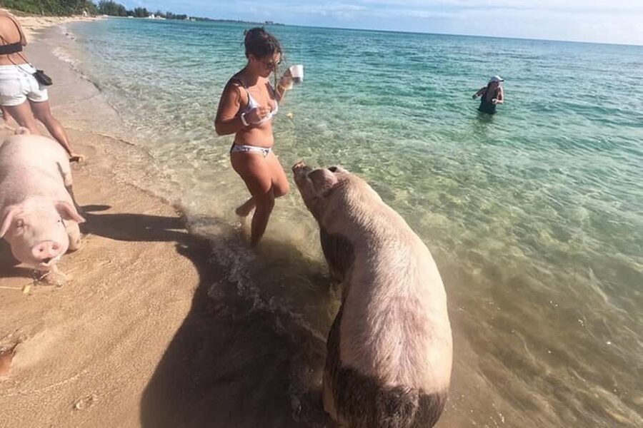 Nassau: Island Hopping Boat Trip with Lunch & Drinks - Gilligan’s Island and the limits of a quick stop