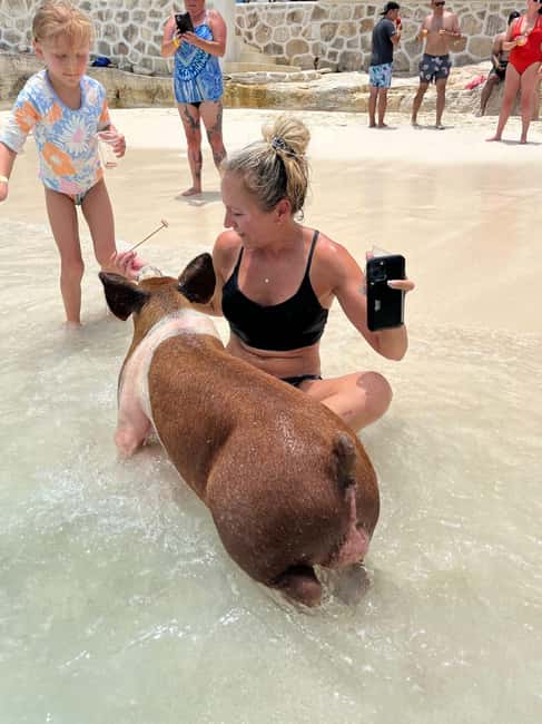 Nassau: Pigs, Snorkel, Turtles, Lunch, Private Beach Club - Key points to know before booking