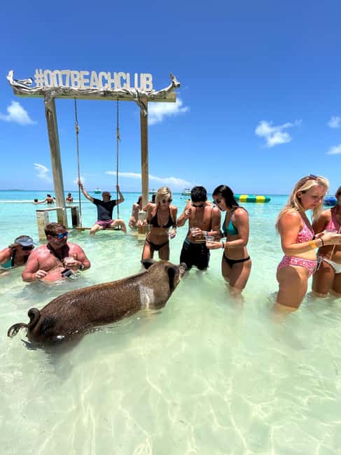Nassau: Pigs, Snorkel, Turtles, Lunch, Private Beach Club - Snorkeling near Rose Island and Pearl Island