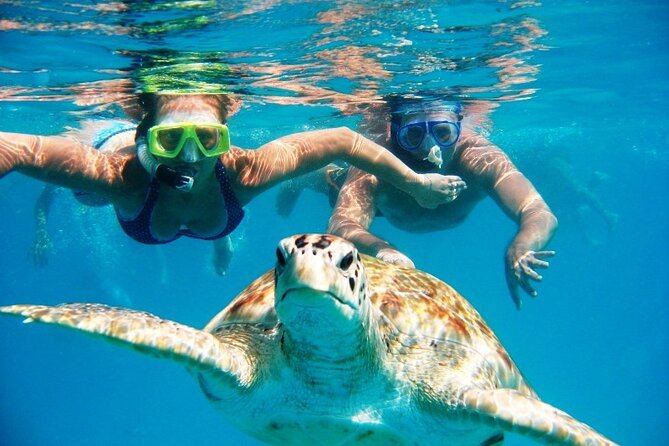 Nassau: Private Island & Snorkeling, Turtles, Drinks, & BBQ - Key points before you book