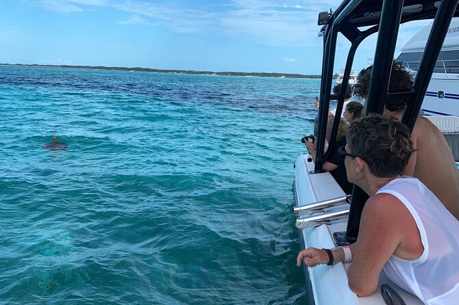Nassau: Private Island & Snorkeling, Turtles, Drinks, & BBQ - Green Cay, where the turtles come first