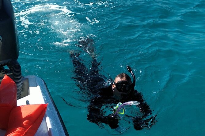 Nassau: Private Island & Snorkeling, Turtles, Drinks, & BBQ - Rose Island Retreat: the real centerpiece
