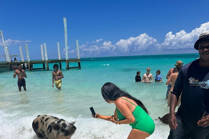 Nassau, Private Swimming Pig, Island Hopping, Snorkeling, Turtles - A fast island sampler from Nassau