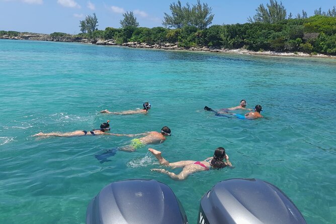 Nassau, Private Swimming Pig, Island Hopping, Snorkeling, Turtles - Gilligan’s Island offers a photo stop