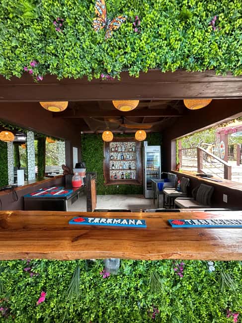 Nassau: Reef Snorkeling, Turtles, Lunch & Private Beach Club - Six things to know before you book