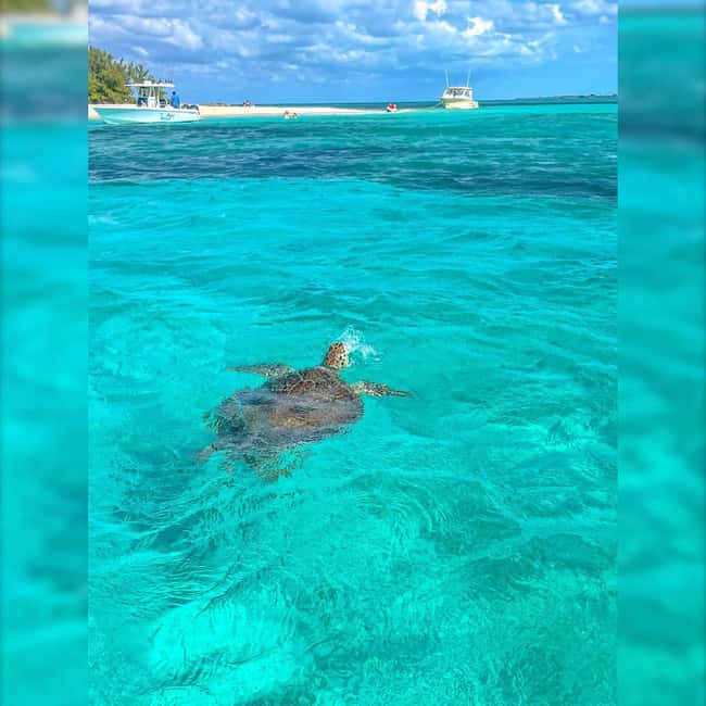 Nassau: Rose 3-Island Tour with Snorkeling and Lunch - Gilligan’s Island and the appeal of a quiet beach