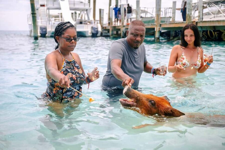 Nassau: Rose Island Swimming Pigs and Beach Day Group Tour - The 30-minute boat ride from Nassau to Rose Island