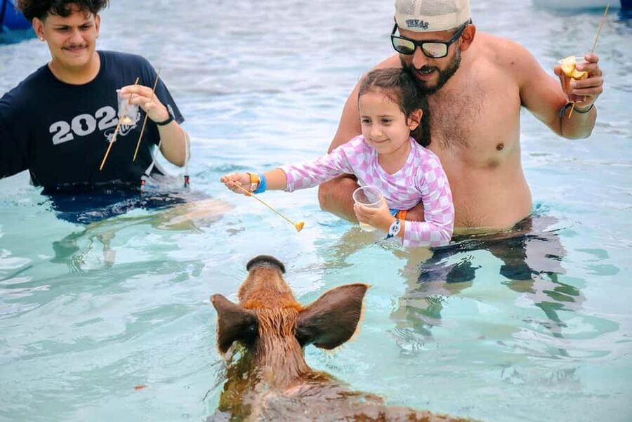 Nassau: Rose Island Swimming Pigs and Beach Day Group Tour - Water toys, snorkeling, and beach games