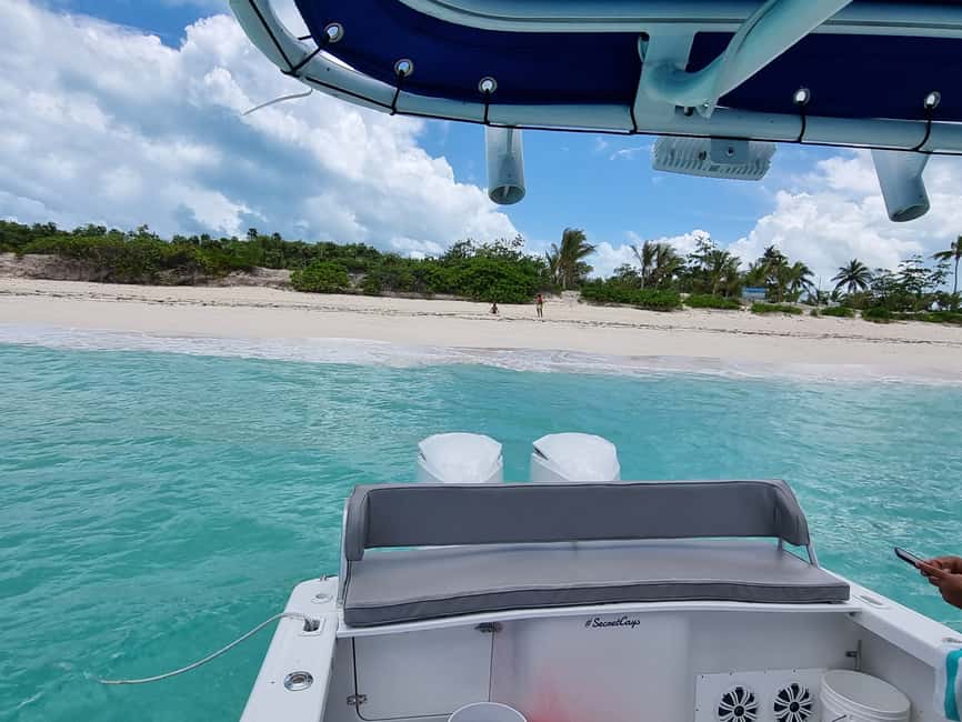 Nassau: Rose Island Swimming Pigs & Turtles Snorkeling Tour - Key points to know before you book