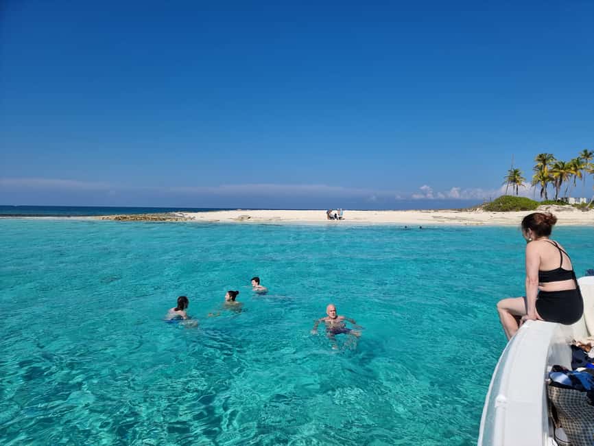 Nassau: Rose Island Swimming Pigs & Turtles Snorkeling Tour - Is $127 a good value?