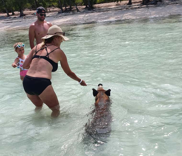 Nassau: Rose Island Swimming Pigs & Turtles Snorkeling Tour - Who should book this Rose Island outing?