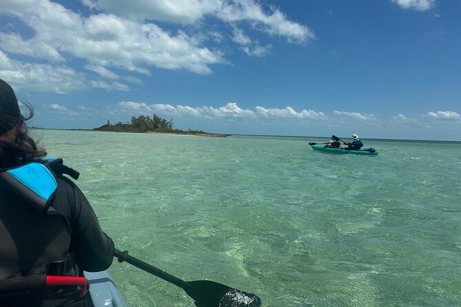 Nassau's Exclusive Kayaking Snorkeling Beach Adventure (6 Max) - Hammocks, coconut, and the signature drink