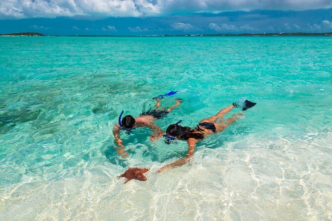 Nassau Sail & Snorkel Adventure with 1 Hour Open Bar - Key points to know before you book