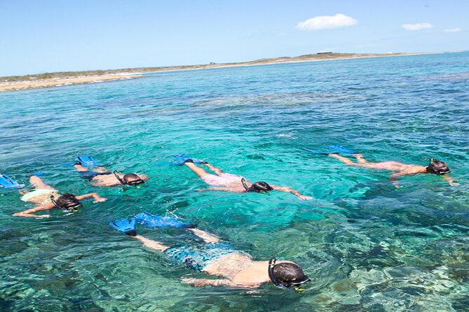 Nassau Sail & Snorkel Adventure with 1 Hour Open Bar - The return trip and one-hour open bar