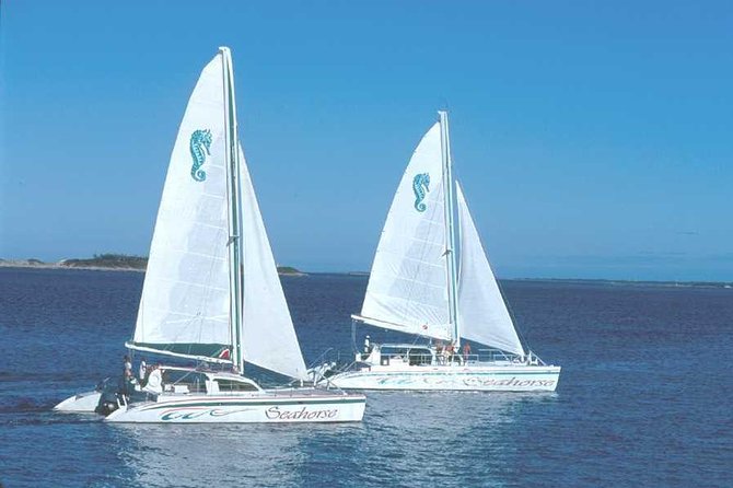 Nassau Sail & Snorkel Adventure with 1 Hour Open Bar - Comfort, crowding, and practical details