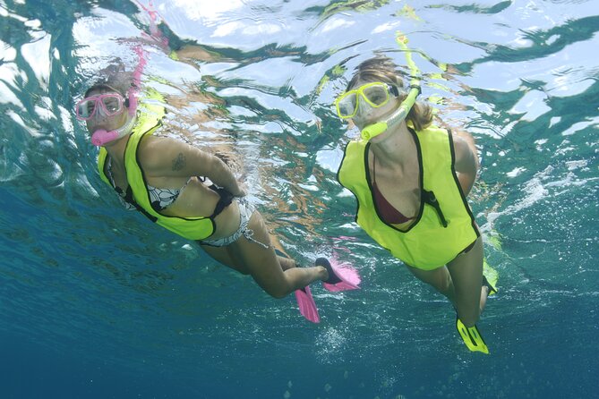 Nassau Shore Excursion: Bahamas Snorkel Adventure - A shark encounter with a careful setup