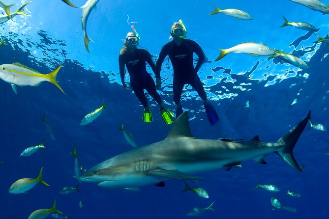 Nassau Shore Excursion: Bahamas Snorkel Adventure - Weather can change the entire day