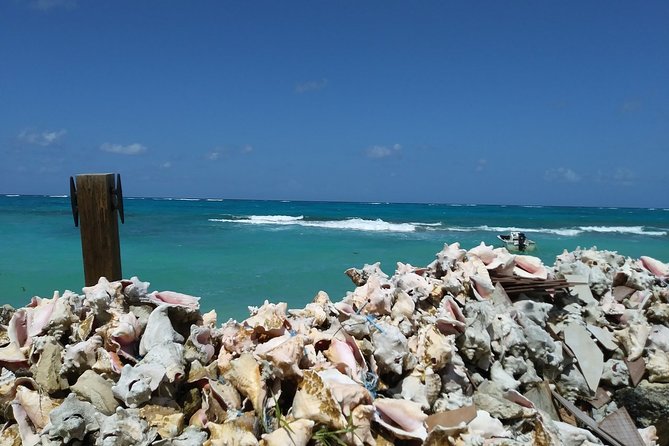 Nassau Shore Excursion: Sightseeing and Snorkeling Tour - Graycliff Chocolate Factory for a short sweet break