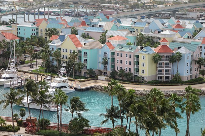 Nassau Shore Excursion: Sightseeing and Snorkeling Tour - Lunch, a soft drink, and what the $220 covers