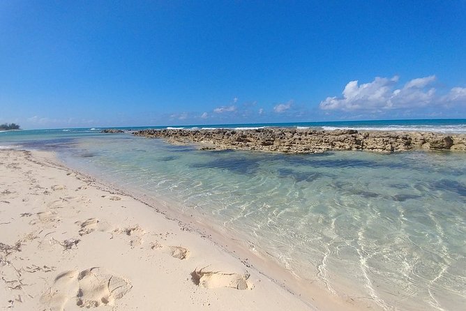 Nassau Shore Excursion: Sightseeing and Snorkeling Tour - Meeting your guide at the Nassau cruise port