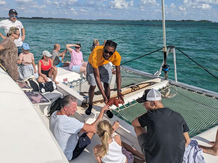 Nassau: Snorkeling, Pig Beach, Swim with Turtles, and Lunch - Key points to know before you sail