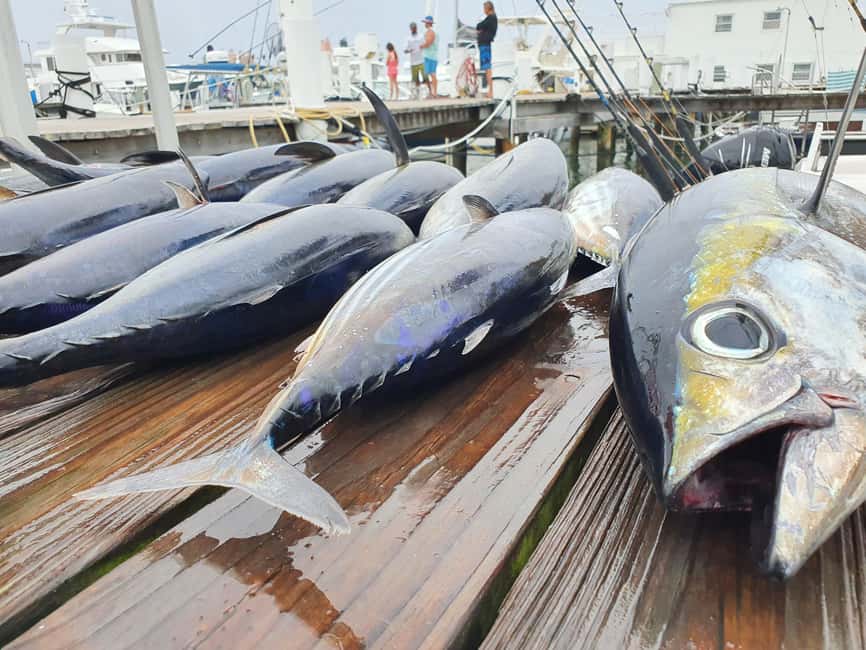 Nassau: Sport-fishing private charter . - Key points to know before booking