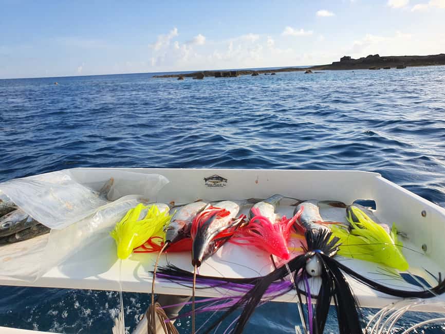 Nassau: Sport-fishing private charter . - Choosing offshore, inshore, or bottom fishing