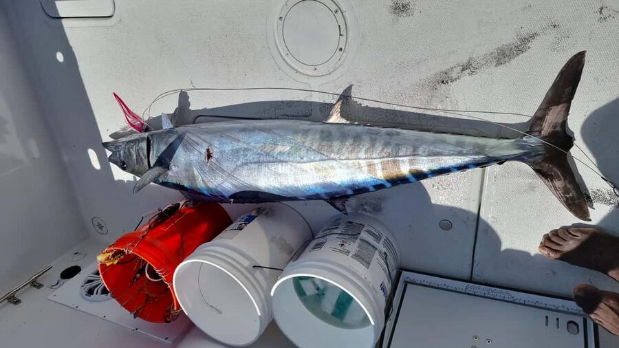 Nassau: Sport-fishing private charter . - Is $1,000 a fair price?