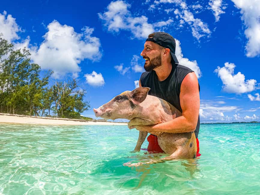 Nassau: Sun Cay and Swimming Pigs Boat Trip with Lunch - The parts most worth remembering