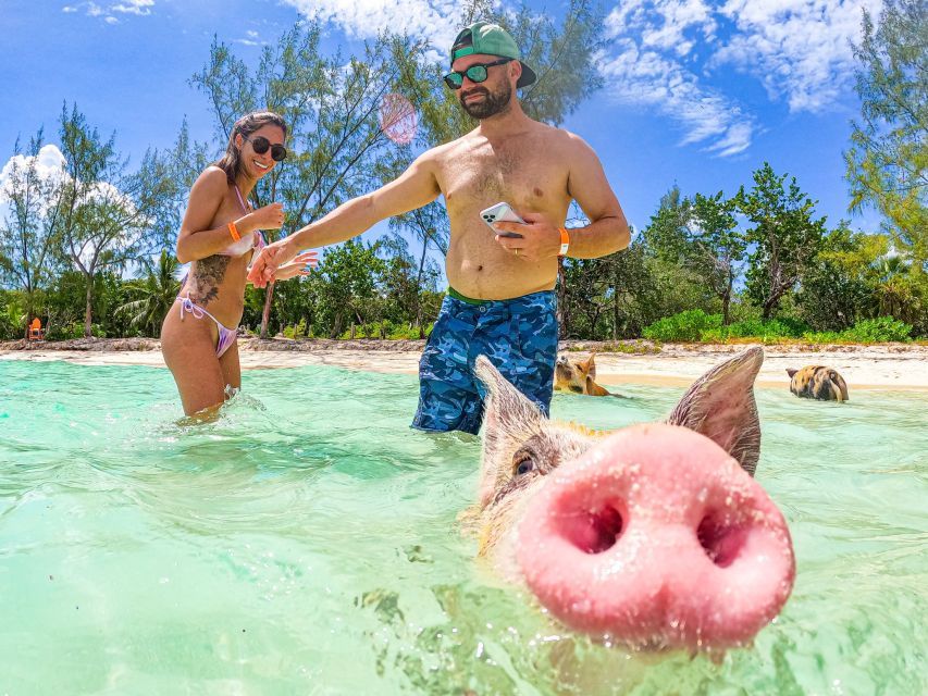 Nassau: Sun Cay and Swimming Pigs Boat Trip with Lunch - Optional add-ons and how to judge their value