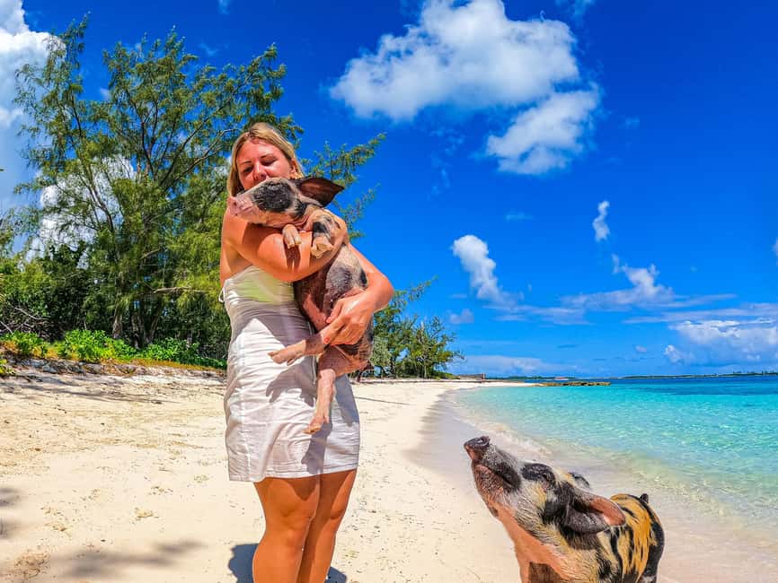 Nassau: Sun Cay and Swimming Pigs Boat Trip with Lunch - What $179 per person really covers