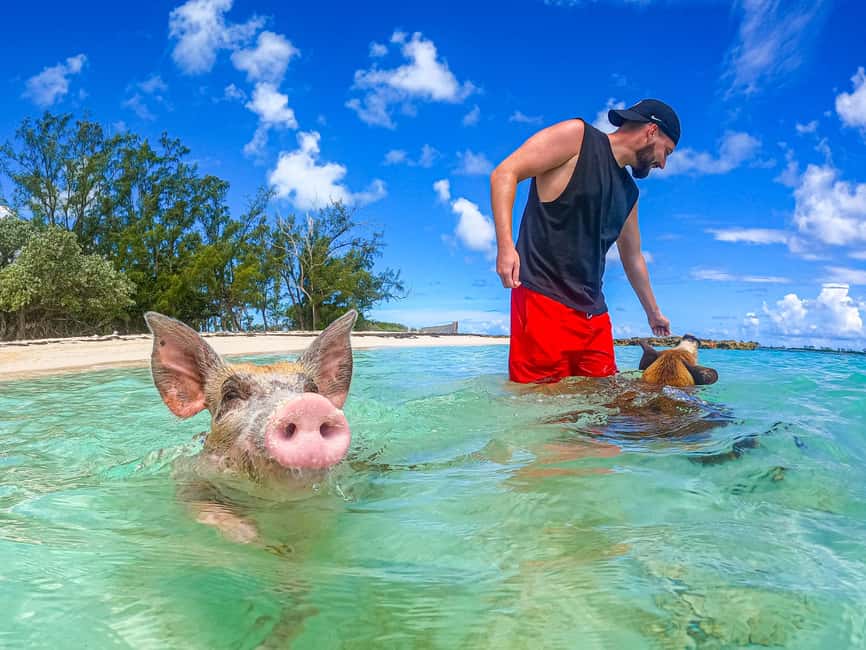Nassau: Sun Cay and Swimming Pigs Boat Trip with Lunch - Sun Cay, or Pearl Island, gives you breathing room