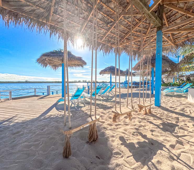 Nassau: Sun Cay Day Trip, Snorkel, Iguana Encounter, & Lunch - Key points to know before you book