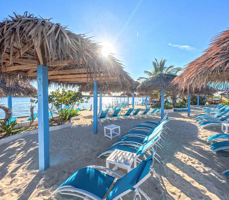 Nassau: Sun Cay Day Trip, Snorkel, Iguana Encounter, & Lunch - Snorkeling with a sailboat and an airplane