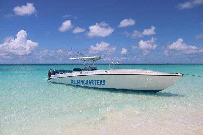 Nassau: Swimming Pigs And Snorkel With Turtles - Green Cay: a gentle start with turtles