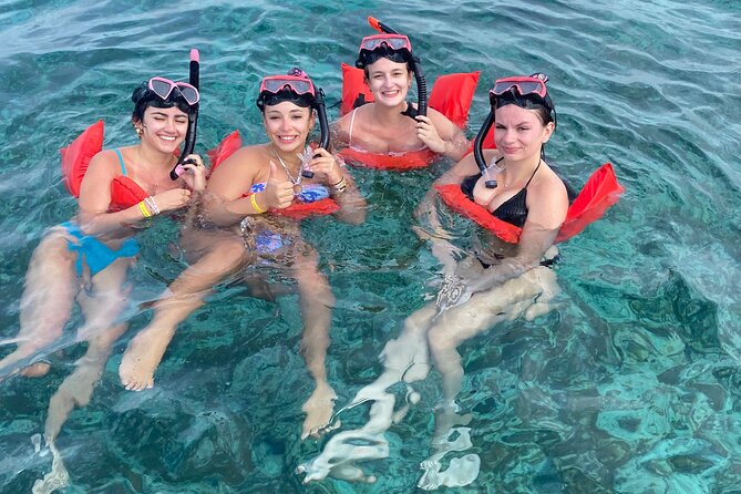 Nassau: Swimming Pigs And Snorkel With Turtles - How the three-hour schedule works