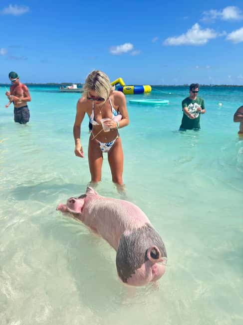 Nassau: Swimming Pigs and Turtles Boat Tour with Snorkeling - Green Cay and the search for turtles