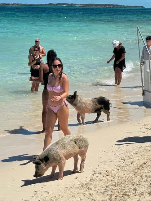 Nassau: Swimming Pigs and Turtles Boat Tour with Snorkeling - Athol Island and the swimming pigs