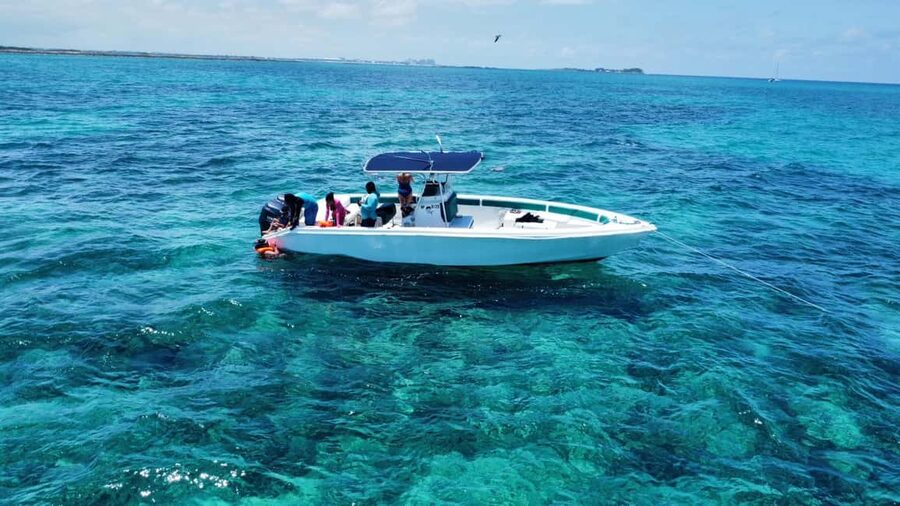 Nassau: Swimming Pigs Private Boat Tour - Up to 7 Persons - A private route across Nassau’s blue water