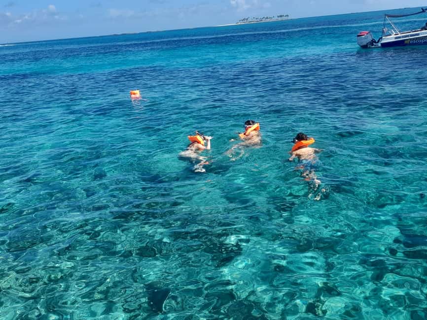 Nassau: Swimming Pigs Private Boat Tour - Up to 7 Persons - What the three-hour schedule feels like