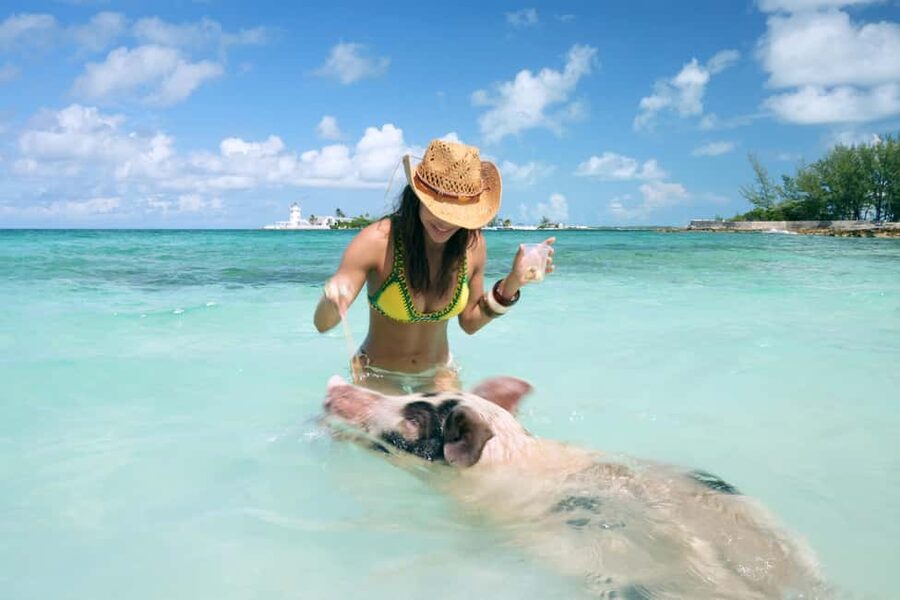 Nassau: Swimming Pigs, Snorkeling, Lunch, & Beach Boat Tour - A fast boat ride out of Nassau