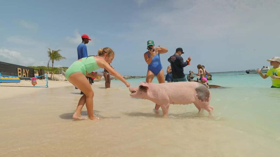 Nassau: Swimming Pigs, Snorkeling, Lunch, & Beach Boat Tour - Who will enjoy this Nassau excursion?