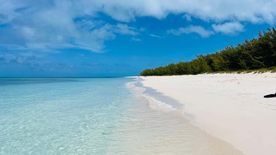 Nassau: Swimming with Pigs, Snorkeling, and Sightseeing Tour - How the three-hour timing works