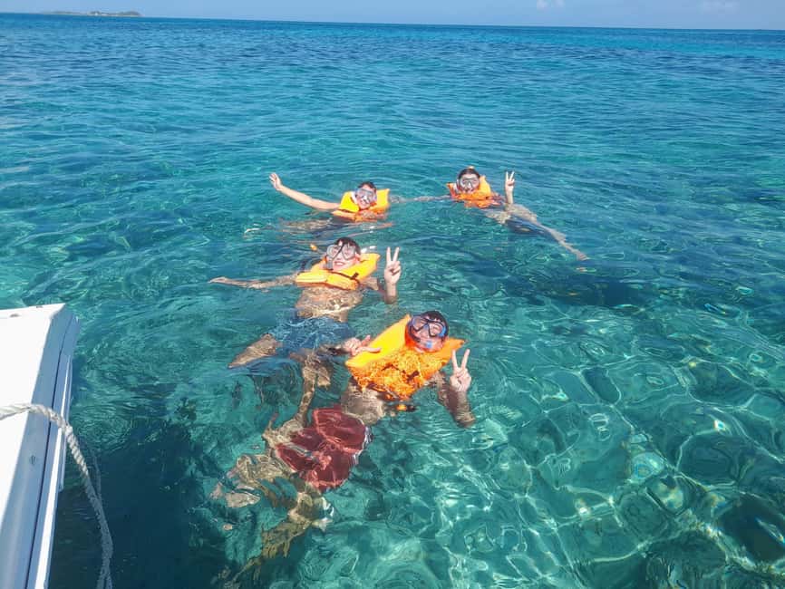 Nassau: Swimming with Pigs, Snorkeling, and Sightseeing Tour - Who will enjoy this boat trip most