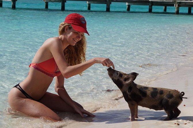 Original Exuma Powerboat Adventures - Allen’s Cay and its protected iguanas